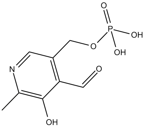 NAC N-Acetyl Cysteine Best Nootropic Iso Brain Supplement 2023 14 p5p large