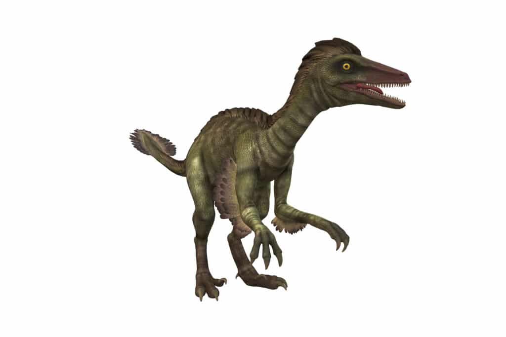 What Was the Smartest Dinosaur? Here are 3 Dino-Geniuses 1 smartest dinosaur
