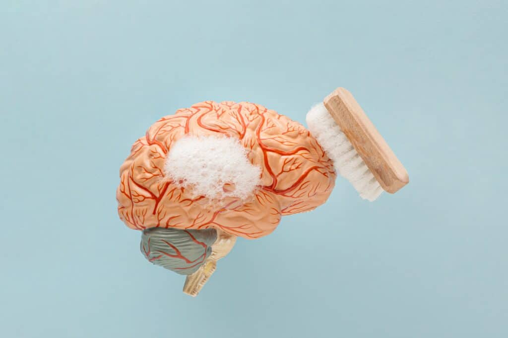 supplements for brain fog