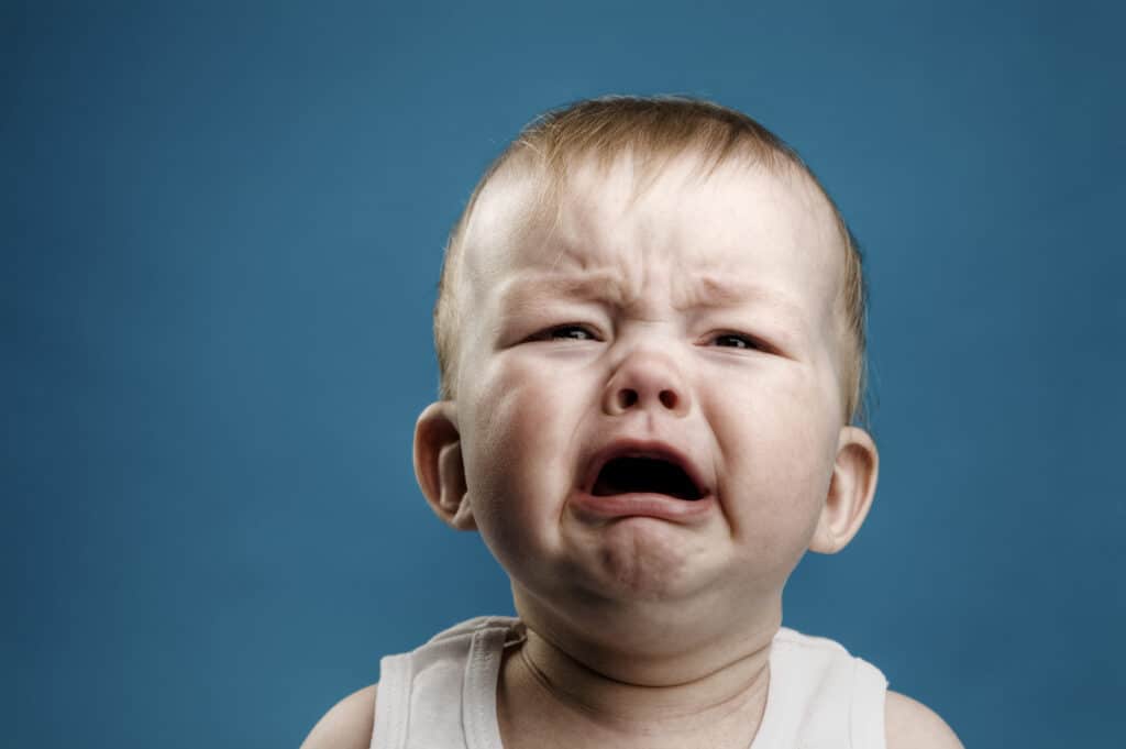 Young Dumb and Broke - Don't Be Like That in 2023 3 shutterstock 33974866