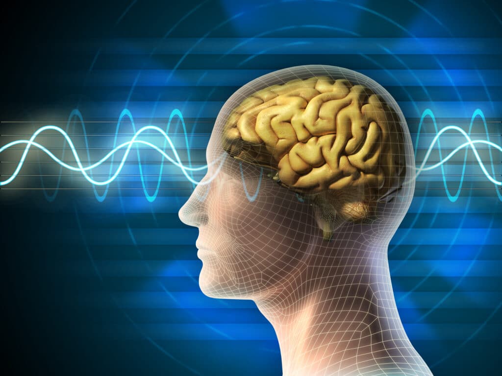 Mental Agility: What it is, and How to Boost it in 2023 2 mental agility